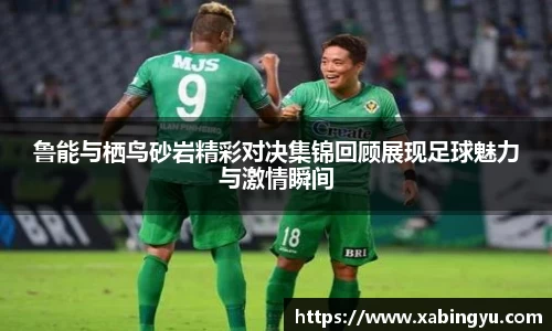 DG视讯官方网站