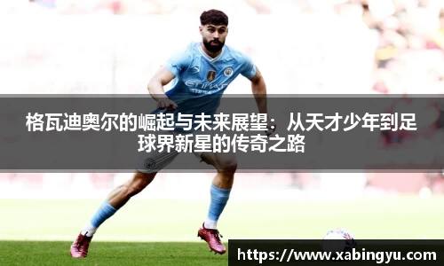 DG视讯官网