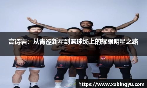 DG视讯