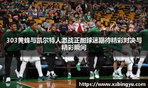 303黄蜂与凯尔特人激战正酣球迷期待精彩对决与精彩瞬间
